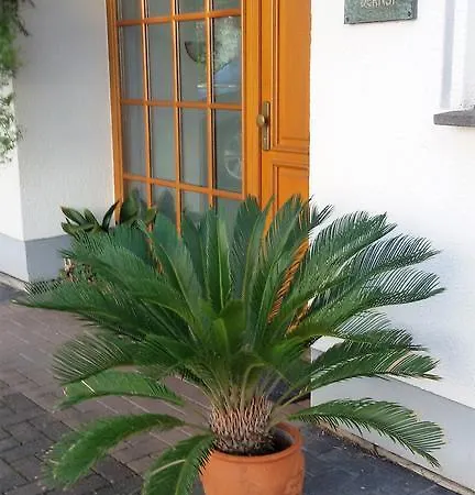 Vendégház Gastehaus Dernst Mesenich